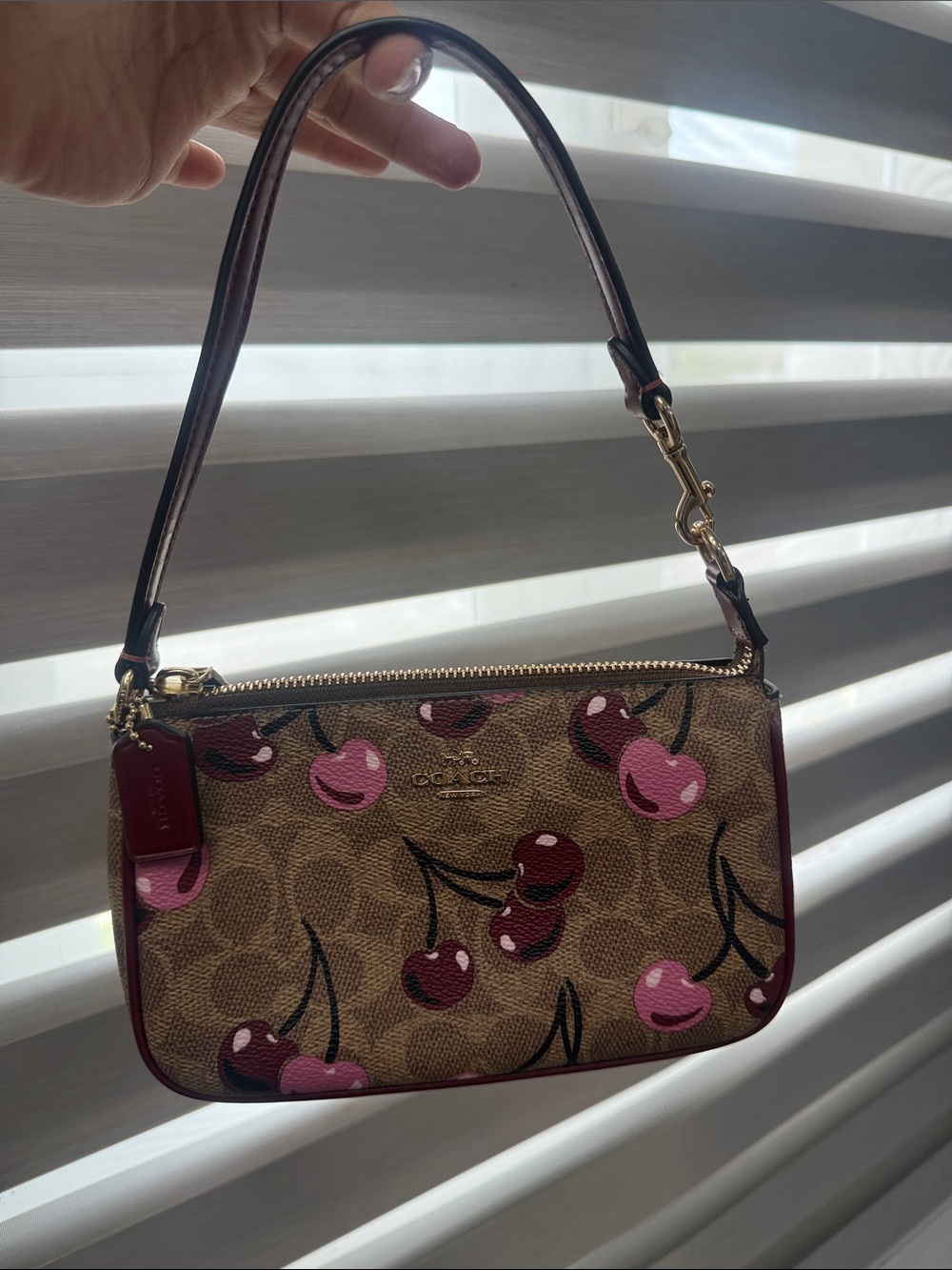 Coach Cherry Print Mini Shoulder Bag in Brown & Pink